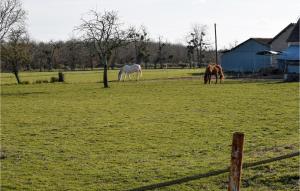 Maisons de vacances Gorgeous Home In Briare With Sauna : photos des chambres
