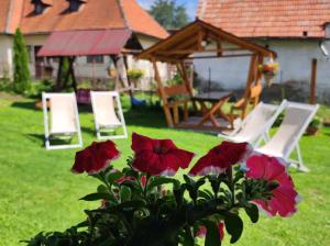 Casa Discret Moieciu