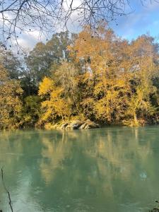 Maisons de vacances Hourquebie-Demeure de charme entierement renovee a 2 min de la riviere-Entre mer et montagne : photos des chambres