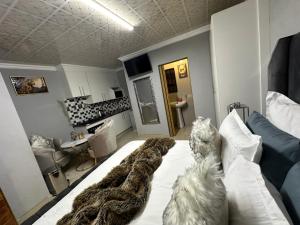 StayComfyGuesthouseByPunky