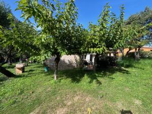 Caseddu jardin et mer