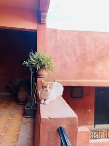 Oasis aux Palmeraies à Marrakech
