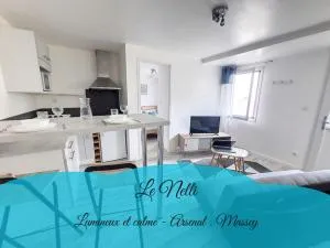 L'ABBAT-JOUR - Le Nelli - Calme - Lumineux - Aureilhan