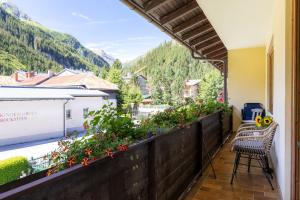 Appartement Schareckblick