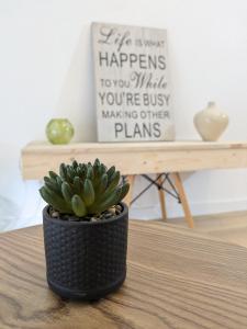 Appartements Sous la tour : photos des chambres