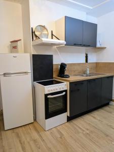 Appartements Sous la tour : Appartement 1 Chambre Deluxe