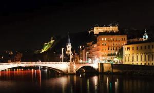 Hotels Hotel du Moulin a Vent - Gerland : photos des chambres