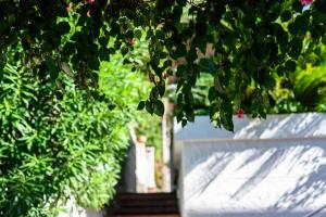 House Valletti Massa Lubrense