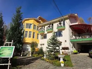 Pensiunea La Mesteceni -Zur Birke, Poiana Marului-Caras Severin - 卡兰塞贝什