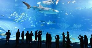 Hotels Hotel du Moulin a Vent - Gerland : photos des chambres