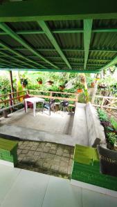 Finca los Martinez - Tamesis - Vereda San Isidro