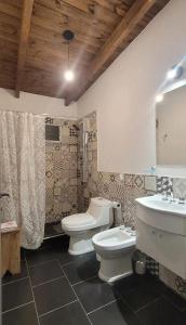 Aguarà del Sol-Aguarà Guazù