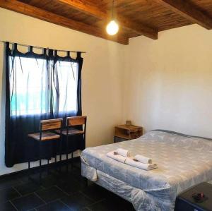 Aguarà del Sol-Aguarà Guazù