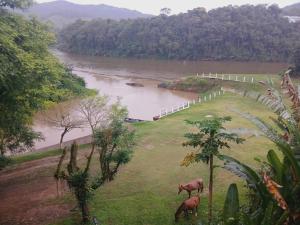 Hotel Porto do Ribeirão