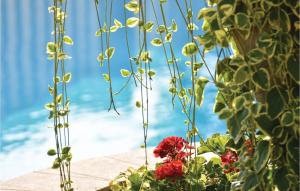 Holiday Home Kucice 34