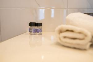 Luxury Central Apartment 4,2