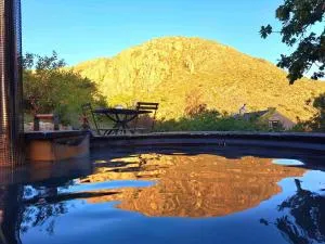 Porcupine Hills Olive and Guest Farm - Botrivier