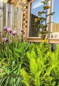 Sunrise Artist at Mt Victoria - Kanimbla