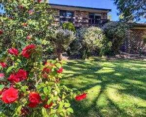 Sunrise Artist at Mt Victoria