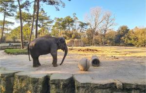 Appartements Nice Apartment In St-Georges-De-Didonne : photos des chambres