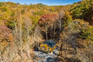 The Wilderness Cabin - Shenandoah Getaway - HotTub, Arcade, RiverAccess - Stanley