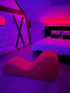 La suite Grand Cru et BDSM 3 minutes de Beaune - Ruffey-lès-Beaune