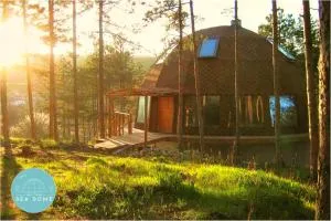 The Forest Sea Dome - 圣君士坦丁和海伦那