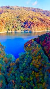 Pensiunea La Mesteceni -Zur Birke, Poiana Marului-Caras Severin