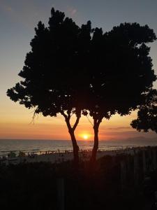 Lindo por do sol pe na areia