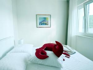 Duka & Piko apartmani 1