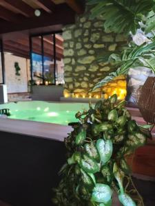 Maisons de vacances Le Petit Paradis : photos des chambres