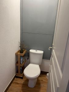 Appartement T3 400 m des pistes- proche Sybelles