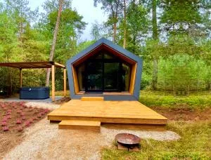 Diamond Suite in the woods - Holten