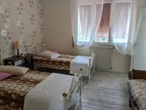 Le gîte fleuri - Fauroux