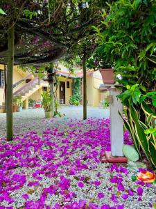 7 - Apartamento com jacuzzi para até 05 pessoas em Bombas