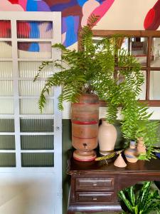 Teiú Hostel Trancoso