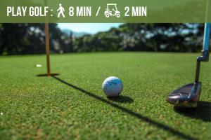 studio au coeur de la marina