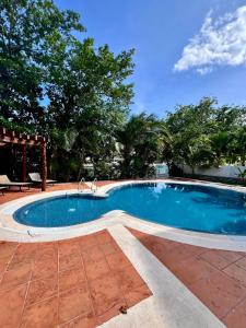 studio au coeur de la marina