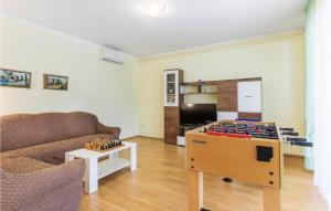 Apartment Nedescina 47