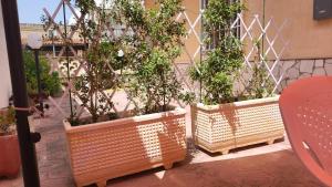 Villa Aragosta 2 camere 1 bagno 1 cucina e giardino