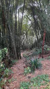 Casa campestre tradicional