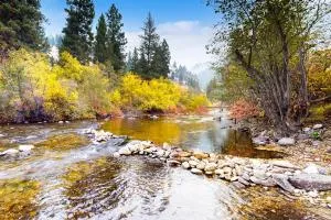 Broad Axe Resort - Main House + Cabins - Sula