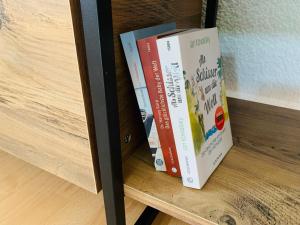 Burg Aue- Ferienwohnungen Erzglück - Familien - im Grünen - zentral