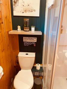 Chalets LE BLANC NORDIQUE : photos des chambres