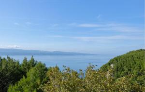 Apartment Vojskovo I