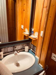 Chalets LE BLANC NORDIQUE : photos des chambres