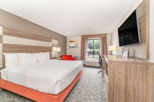 King Room with Bath Tub - Disability Access/Non-Smoking room in Holiday Inn Express Kernersville an IHG Hotel