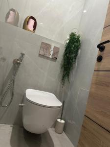 Appartements Appartement luxe Chateaucreux : photos des chambres