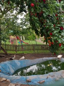 Azienda agrituristica La Borgaccia