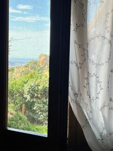 Casa di Maia, piscina, posto auto e giardino img18